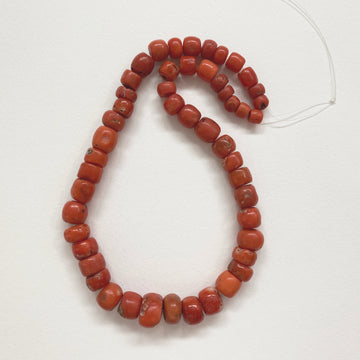 Mediterranean Coral Bead Strand (097_COR_020)