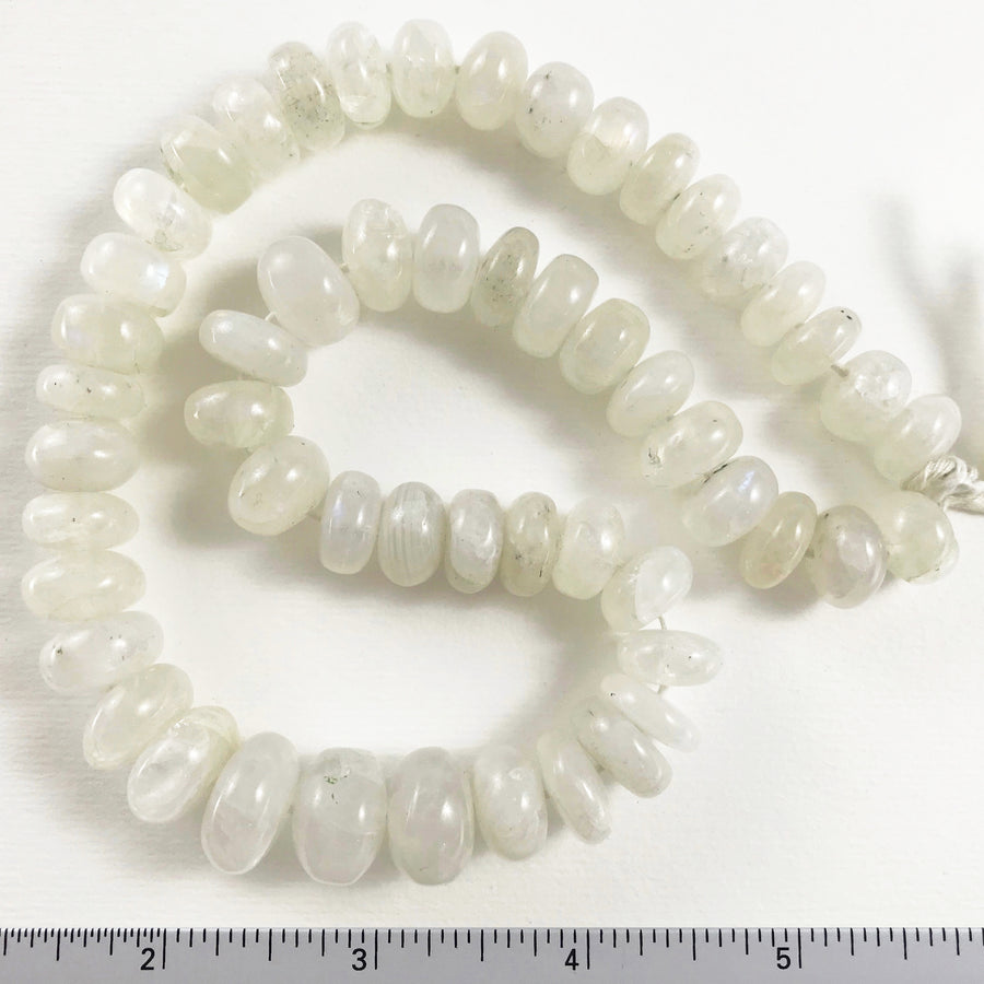 Moonstone Rondelle Graduated, Irridescent Bead Strand (MOO_023)